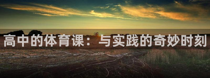 高中的体育课：与实践的奇妙时刻