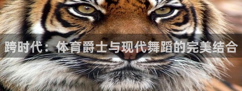 跨时代：体育爵士与现代舞蹈的完美结合