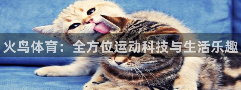 火鸟体育：全方位运动科技与生活乐趣
