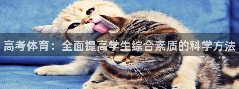 高考体育：全面提高学生综合素质的科学方法