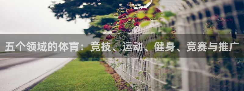 五个领域的体育：竞技、运动、健身、竞赛与推广
