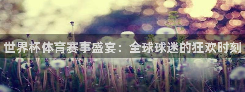 世界杯体育赛事盛宴：全球球迷的狂欢时刻