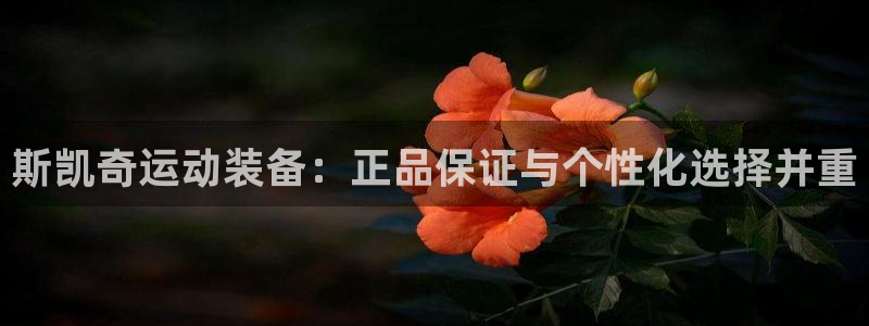 杏悦2平台登录：斯凯奇运动装备：正品保证与个性化选择并重
