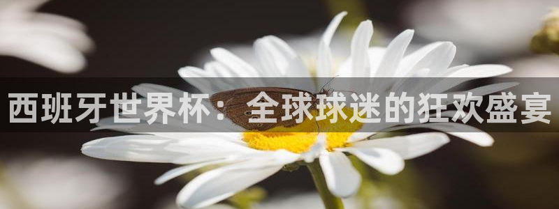 杏悦2平台：西班牙世界杯：全球球迷的狂欢盛宴