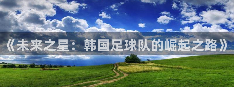 杏悦22平台注册：《未来之星：韩国足球队的崛起之路》