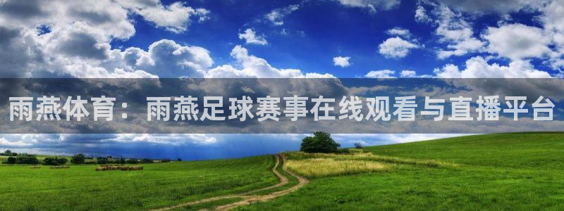 杏悦25：雨燕体育：雨燕足球赛事在线观看与直播平台