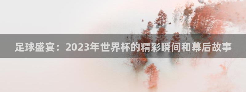 杏悦2体育合法嘛：足球盛宴：2023年世界杯的精彩瞬间和幕后故事