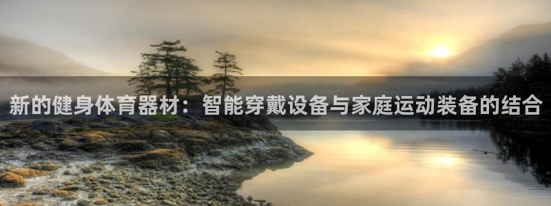 杏悦2体育平台总代理：新的健身体育器材：智能穿戴设备与家庭运动装备的结合