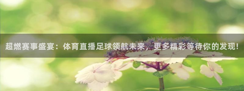 杏悦24：超燃赛事盛宴：体育直播足球领航未来，更多精彩等待你的发现!