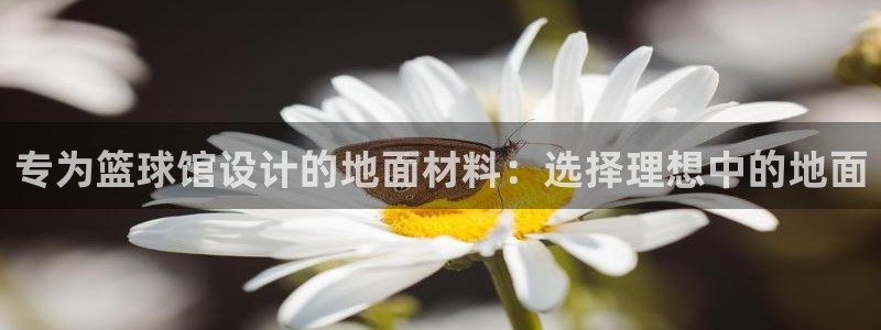 杏悦2体育凯捷平台主管：专为篮球馆设计的地面材料：选择理想中的地面