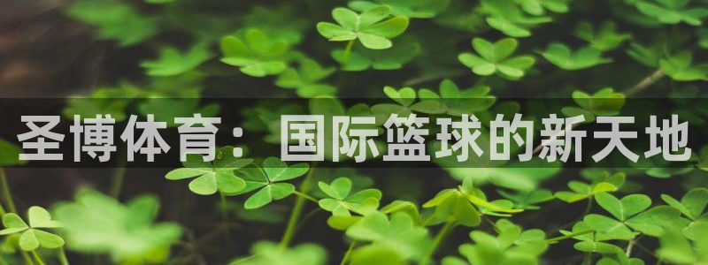 杏悦2体育凯捷平台主管：圣博体育：国际篮球的新天地