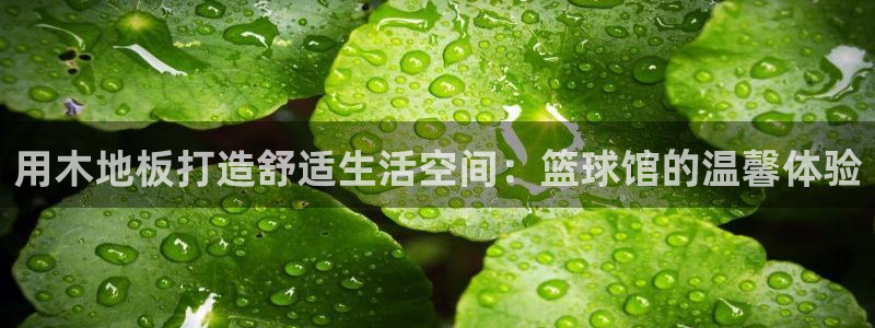 杏悦2体育热门赛事有哪些：用木地板打造舒适生活空间：篮球馆的温馨体验