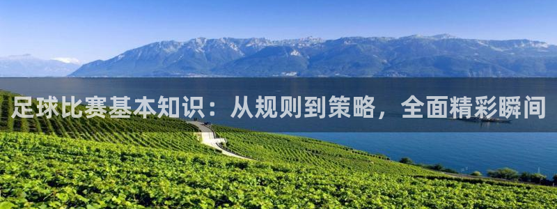 杏悦2主管球27337：足球比赛基本知识：从规则到策略，全面精彩瞬间