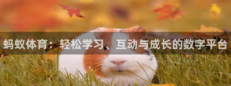杏悦2体育3在线注册：蚂蚁体育：轻松学习、互动与成长的数字平台