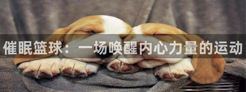 杏悦2体育官网登录：催眠篮球：一场唤醒内心力量的运动